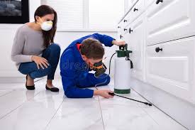 Professional Pest control in Carrier Mills, IL